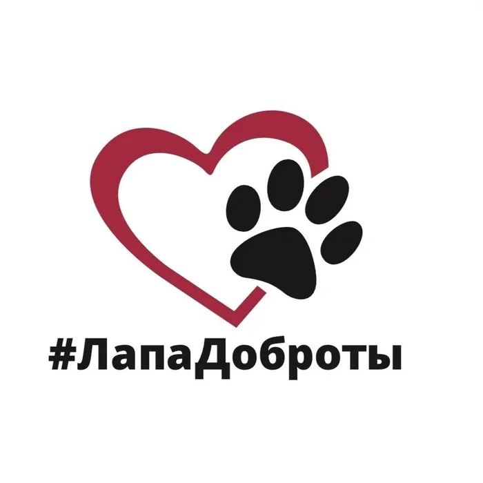 лапа доброты
